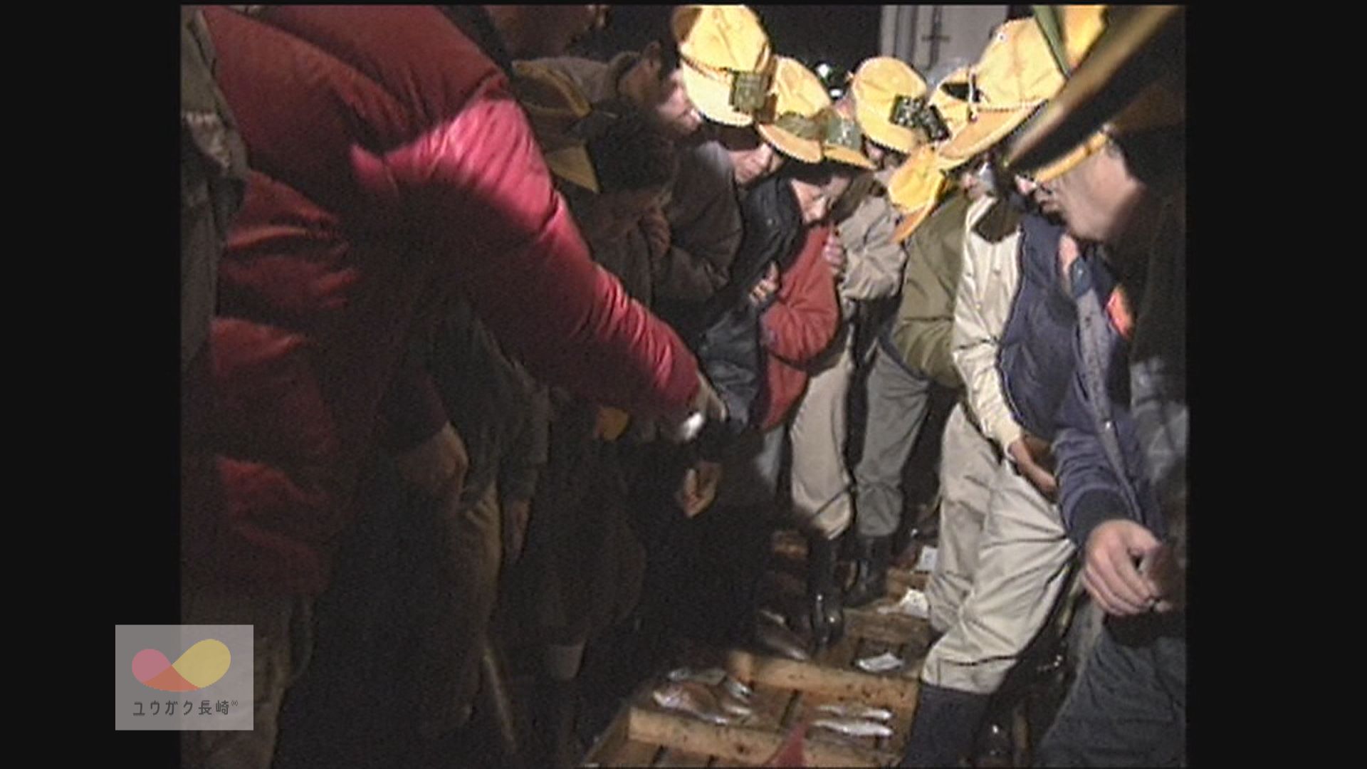 「旧長崎魚市」昭和時代最後の初セリ～前年７割増しの大商い　イメージ